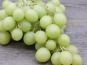 L'OLIVERAIE DU COUDON - RAISIN BLANC SANS PEPINS 1,5KG