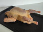 Ferme Bleu Canard - Pigeonneau 340g