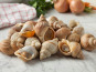 La Paysanne des Mers - Bulots vivants - 1kg