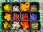 Nature et Saveurs - Ferme Aquaponique et Permacole Astérienne - Fleurs comestibles assortiment – éclat & finesse gastronomique