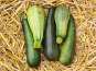 La Ferme de Goas Per - Courgette Bio - 250g
