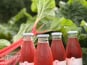 Maison Vermes - Producteurs de Rhubarbes - Lot de 12 bouteilles de Nectar de rhubarbe en 75cl