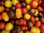 Domaine Reverchon - Tomates Cerises couleur 500gr