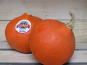 Le Châtaignier - Gros potimarron BIO - 1 Pièce - 1,5 kg et 2 kg