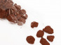 Compagnie Générale de Biscuiterie - Boite Tube De Noix De Pécan Enrobée Chocolat Noir