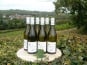 Domaine Doudeau-Leger - Sancerre Blanc AOC 2023 - 6 Bouteilles