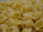 Lioravi, l'authentique pâte fraîche ! - Colis de Pâtes Bio Conchiglie 3x250g