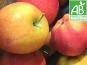 Mon Petit Producteur - Pomme Dalinette Bio - 3kg