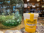 Myrtilles du Trimoulet - Glace Fermière Myrtille - Pot 500 mL