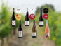 Domaine de la Chopinière du Roy - Coffret découverte "Les 6 vins de Loire du Domaine" - 6 x 75 cl