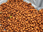 La Noyeraie des Borderies - NOIX FRAICHES BIO Promo 5kg !!  RÉCOLTE 2025