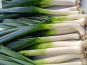 Aux Jardins des Colibris - 1kg Poireaux Bio