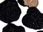 Ferme de Pourcier - Truffe Fraîche - Truffe d'été 500g