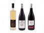 Domaine de la Perrée - Saint Nicolas de Bourgueil - Coffret Mini Découverte 3 bouteilles