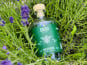 Erika Spirit - Liqueur de menthe poivrée artisanale "Perséphone" - 70cl