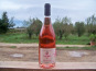 Domaine Pons Gralet - Vin Rosé IGP - Cotes Catalanes 2023 Bio x6