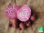 Ferme de Carcouet - Betteraves Chioggia Bio - 1 kg