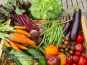 La Ferme de Goas Per - Grand panier de légumes de saison Bio