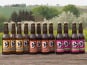 Micro brasserie Blessing - PACK BIERES – 4 blondes + 4 ambrées + 4 IPA – 12x33cl