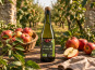 Pom Bio Berger - Pétillant de Pommes Bio 75cl