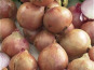 La Ferme de Goas Per - Ognon rose bio - 500gr