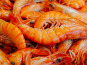 Thalassa Tradition - Gambas Bio Cuites de Madagascar - 250 g