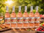 Domaine Laprune - Vin rosé 1/2 Sec Tannat - "Aquarelle" - 2025 - 6 x 75cl