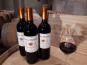 Vignobles Brunot - Saint-Emilion Grand Cru Rouge - Château Piganeau 2021 - 3x75cl