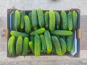 Ferme de la ville basse - Cornichons  Bio moyen frais 2kg