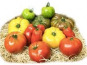 Les Champs Paradis - tomate ancienne véritable en mélange  1 kg