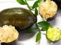 Ferme Les Jardines - Citron Caviar Sunshine Yellow Bio