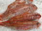 Notre poisson - Rouget Barbet écaillé vidé 200/300g en lot de 2kg