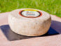 Fromagerie Saint Goal - Tomme de chèvre - algues - 3 kg