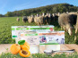 Dessine moi une brebis - Duo Yaourt Brebis Nature et Abricot 4x125g