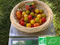 LES JARDINS DE KARINE - Tomates cerises en mélange - 500g