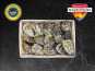 Le Termer - Huîtres de Normandie IGPN°3 - 12 pièces "Saveurs de Normandie"