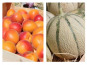 Domaine Reverchon - Melon du Vaucluse x 2 + 2 kg Abricots