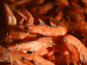 Thalassa Tradition - Crevettes roses 2kg