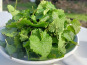 Rébecca les Jolies Fleurs - Herbes fraiches : alliaire