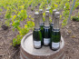 Champagne Deneufchatel - Champagne Deneufchatel Millésime 6 X 75 Cl