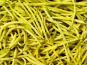 Nature et Saveurs - Ferme Aquaponique et Permacole Astérienne - Haricots beurre mangetout – douceur, croquant et éclat naturel