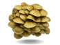 Naturélium - Le nameko 500g