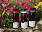 Myrtilles du Trimoulet - Pack Sirop