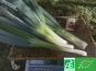 LES JARDINS DE KARINE - Oignon-poireau - 1kg