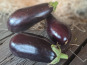 Les Jardins de Gérard - Aubergine violette Bio - 500 g