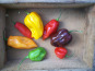 HERBA HUMANA - Piment Habanero rouge 3kg