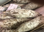 La Guyotte Ferme Bressane - Le Saucisson pur chèvre