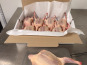 Ferme Bleu Canard - Lot de 8 pigeonneaux