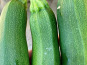 ChâteauFer - Courgette Primeur 1kg