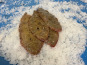 Notre poisson - Sole de 250/330gr en lot de 1kg
